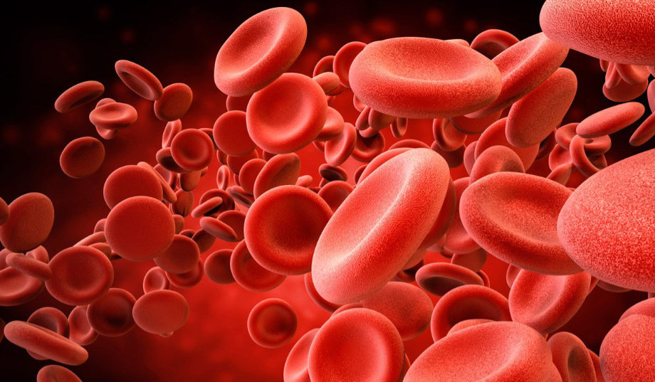 ¿Qué son los glóbulos rojos y qué dicen de nuestra salud? - Medical Assistant